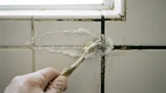 浴室のタイルと目地が新品のように：汚れやカビを素早く取り除く方法